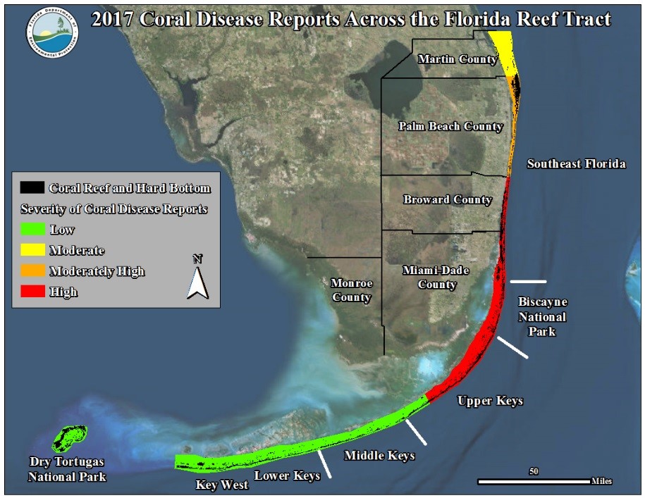 InHouse Grahpics2017 Coral Disease Map Florida Department of